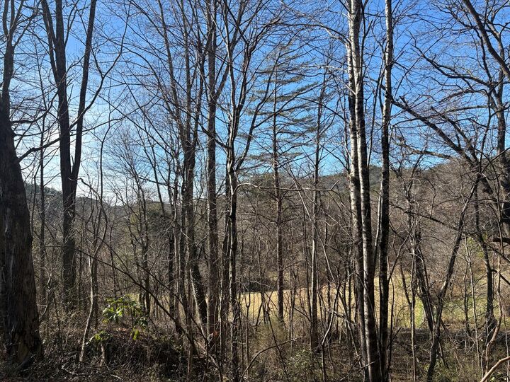 Property Photo:  0 Kimsey Mountain Hwy  TN 37391 
