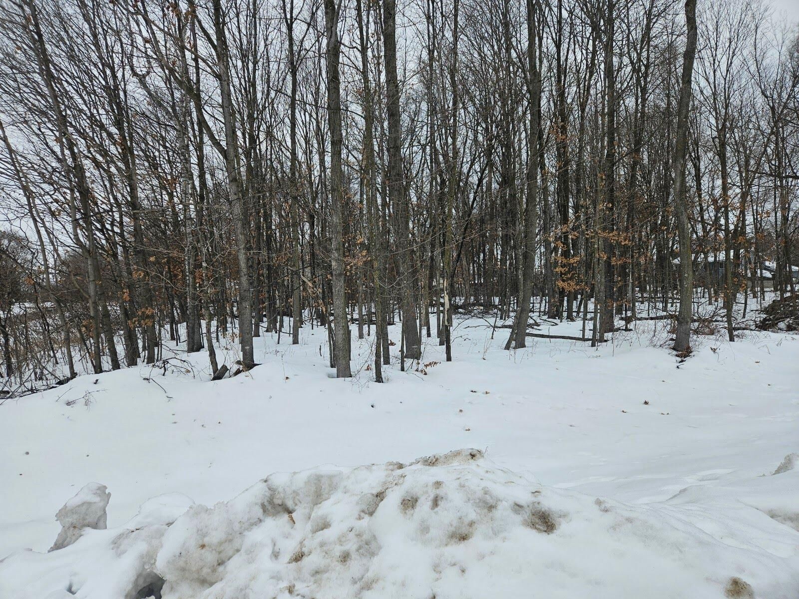 Property Photo: Lot 1, Block 1 2 1/2 Avenue NE MN 56375