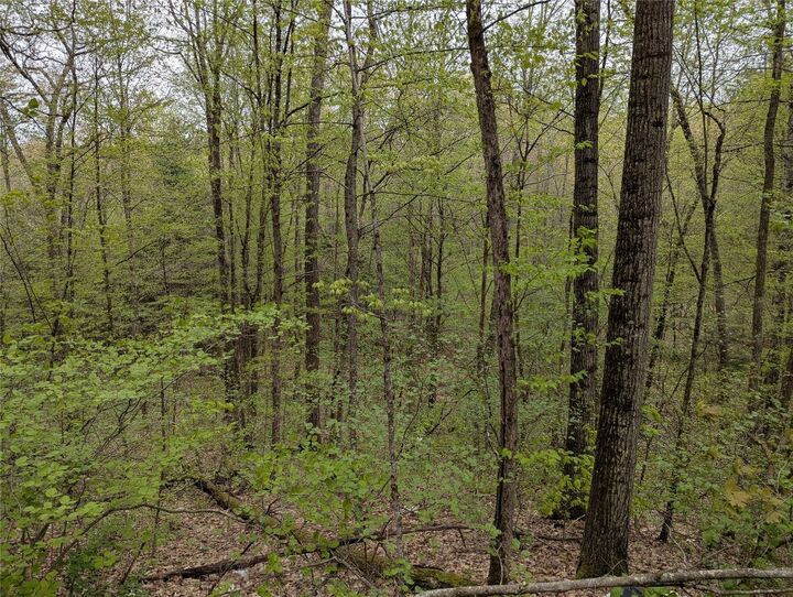 Property Photo:  00 Union Hill Road  NY 13743 