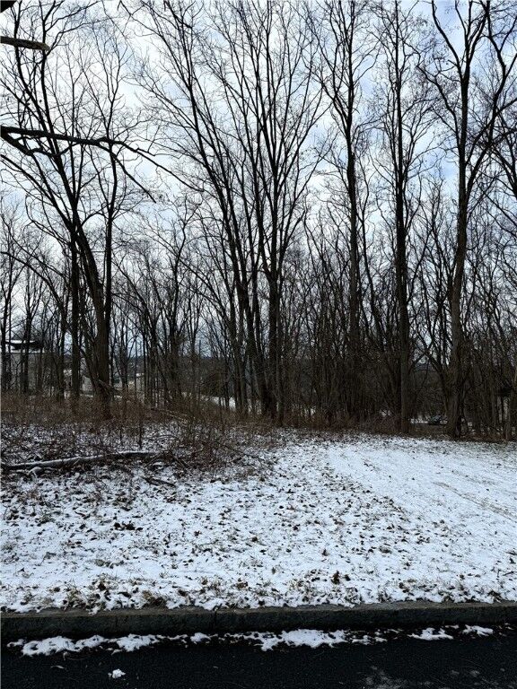 Property Photo:  608 Hudson Street  NY 14850 