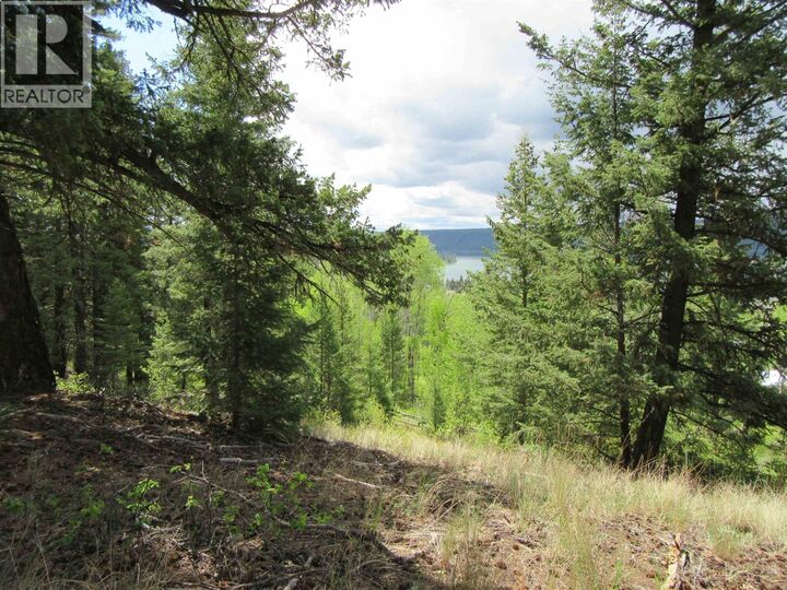 Property Photo:  Dl 2808 Donovan Road  BC V0K 1T0 