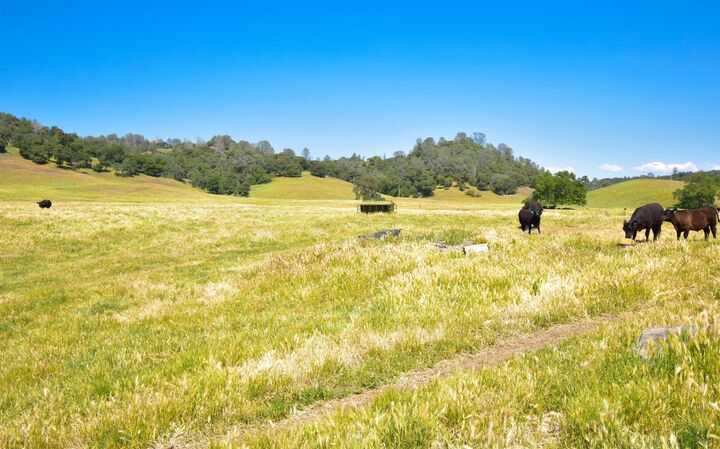 Property Photo:  9436 Fraguero  CA 95370 