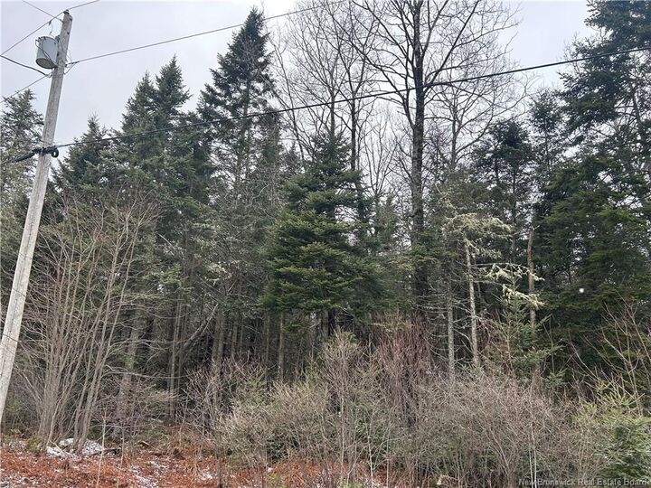 Property Photo:  Lot 26-4 Backland  NB E5N 1E2 