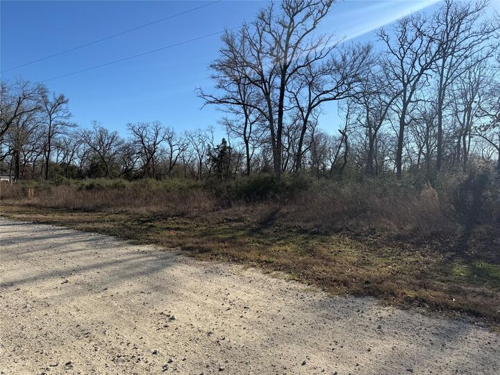 Property Photo:  Lot 29 Cr 389  TX 75846 