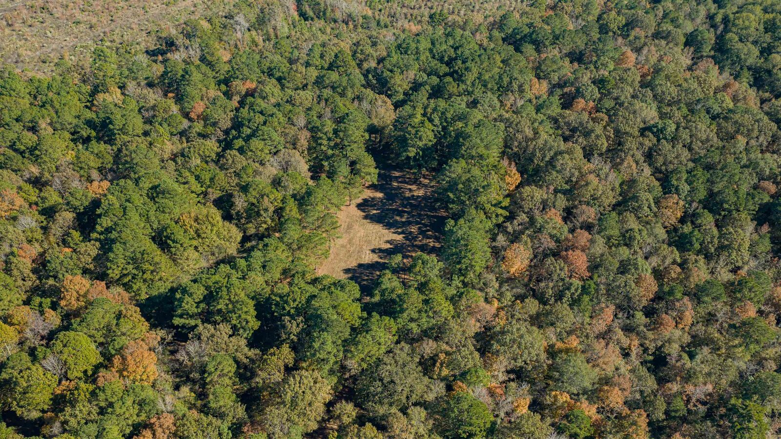 Property Photo:  12806 Wood Rd.  TX 75640 