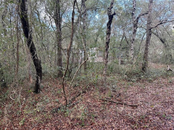 Property Photo:  9280 SE 194th Court  FL 32179 