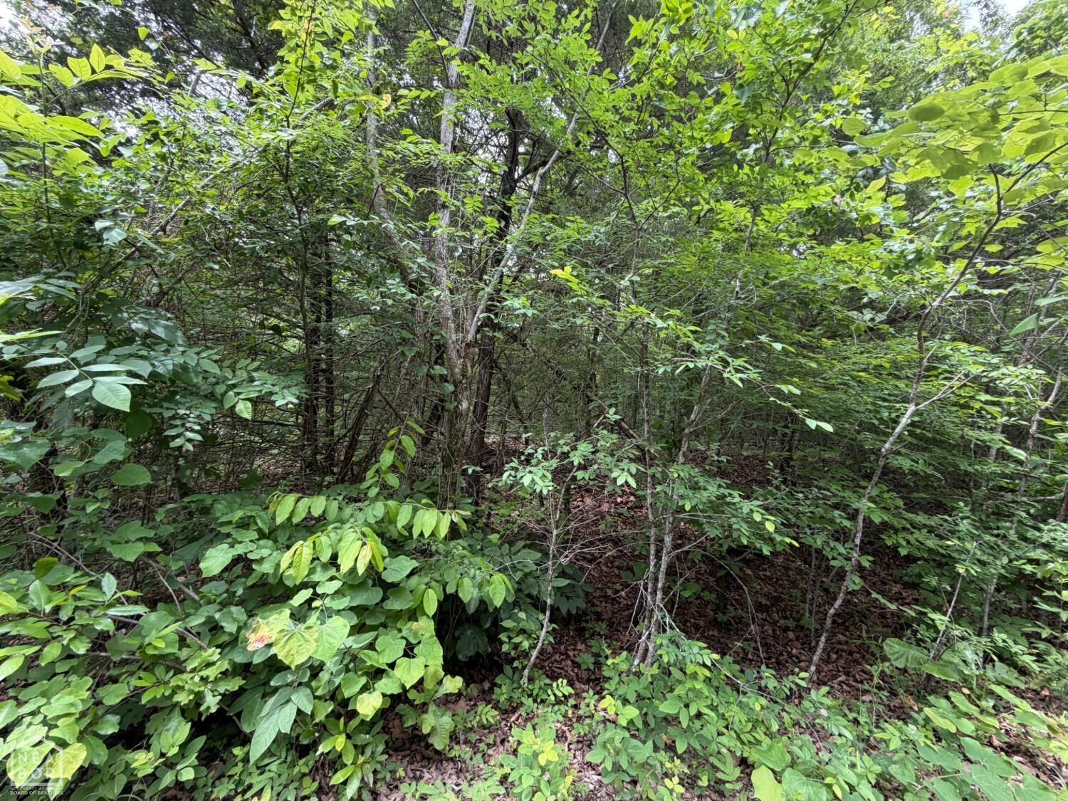 Property Photo: 1 Clark Lane AR 72512