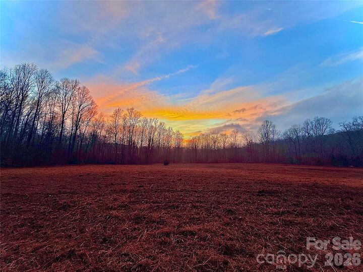 Property Photo:  999 Bill Collins Road  NC 28722 