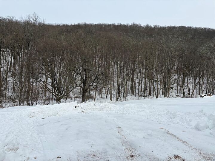 Property Photo:  790 Oak  NY 13783 