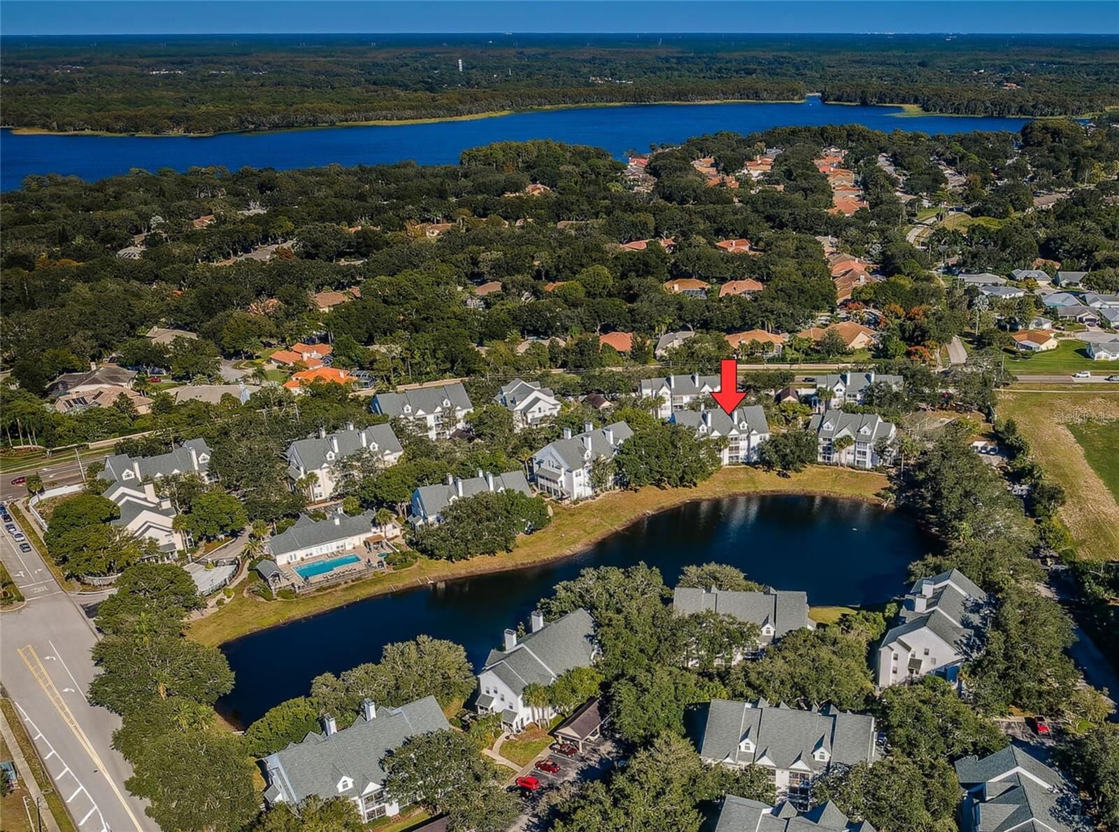 Property Photo:  3304 Haviland Court 103  FL 34684 