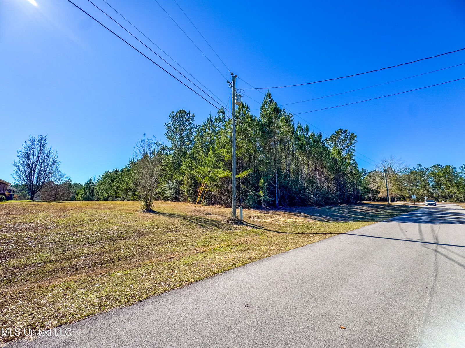 Property Photo:  Dill Road  MS 39574 