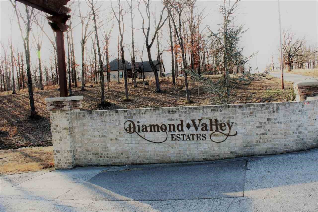 Property Photo: 0 Diamond Valley Estates AR 72404