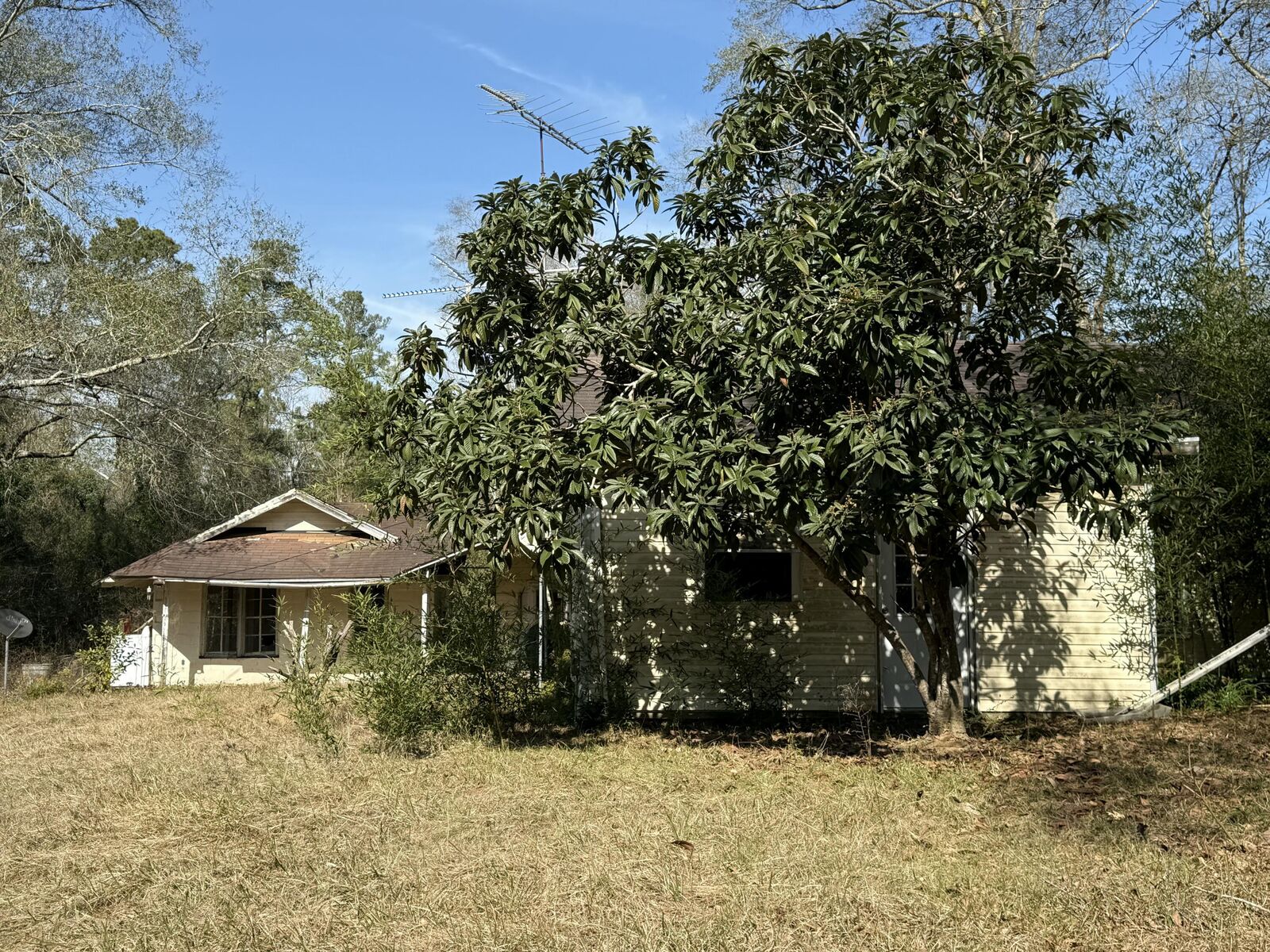 Property Photo:  348 Lawlis Rd  LA 70634 