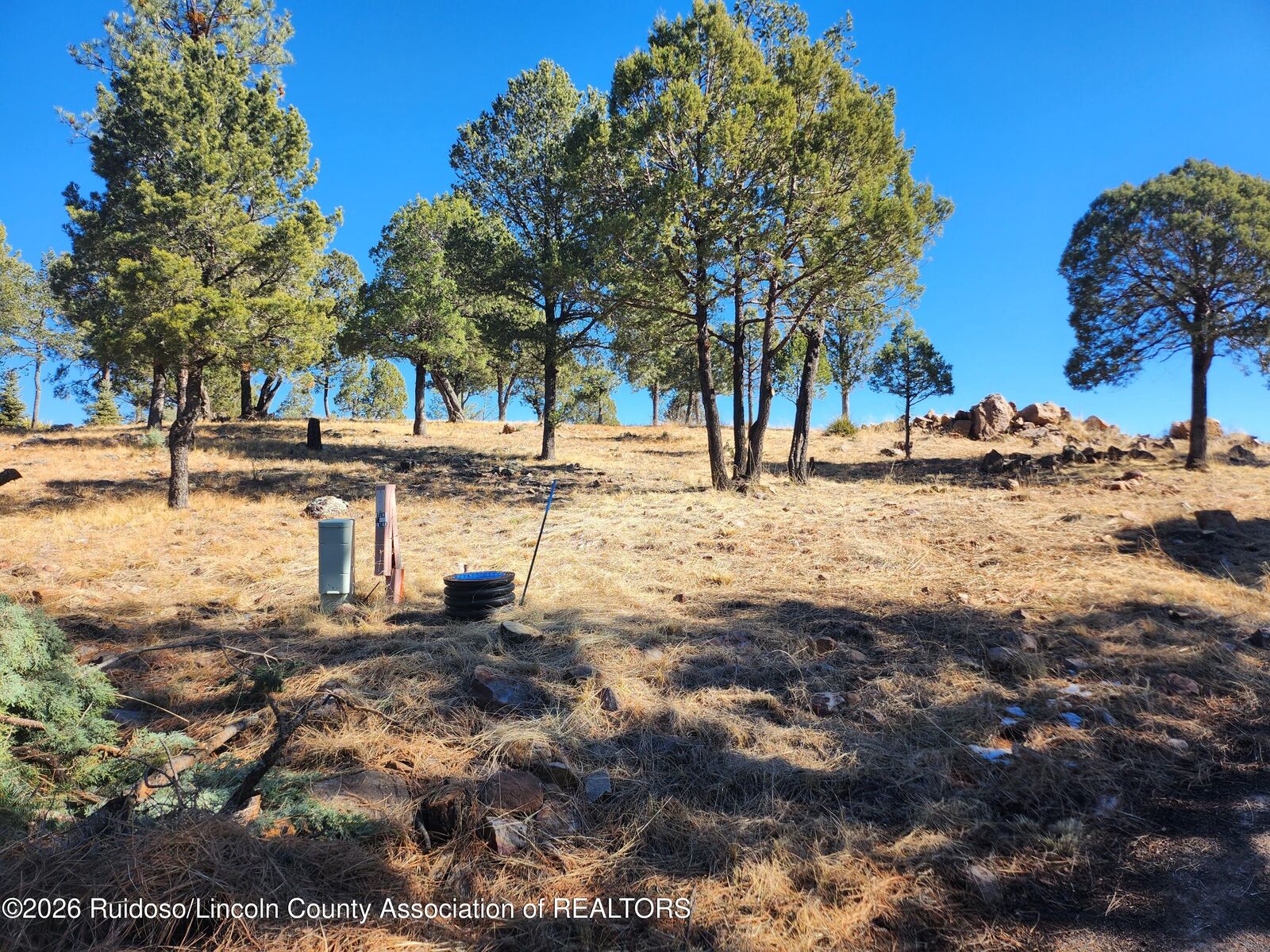 Property Photo:  318 McBride Drive  NM 88345 