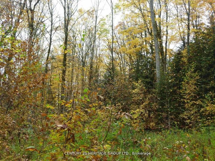 Photo de la propriété:  Pt Lt 8 Con7 Macduff Road  ON K0L 2Y0 