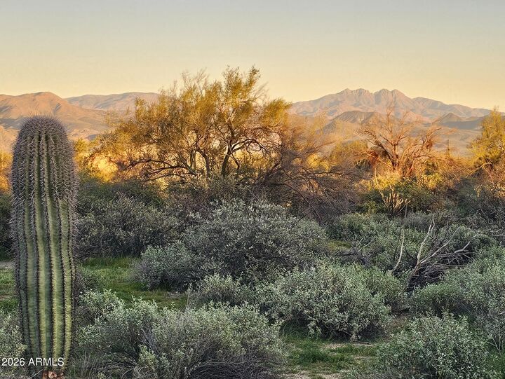 Property Photo: 32xxx N 162nd Street F AZ 85262