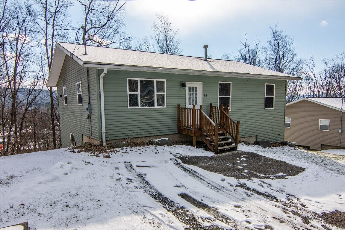 Property Photo:  58 Savitch Road  NY 13901 