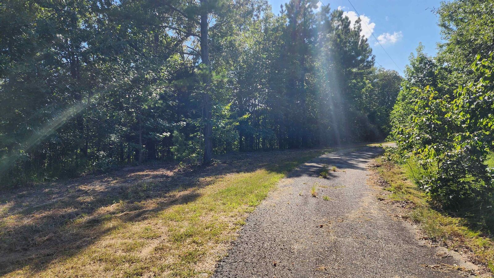 Property Photo:  Lot 7 Oversprings Drive  AR 72002 