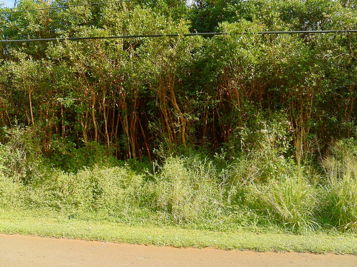 Property Photo:  Diamond Head Rd  HI 96778 