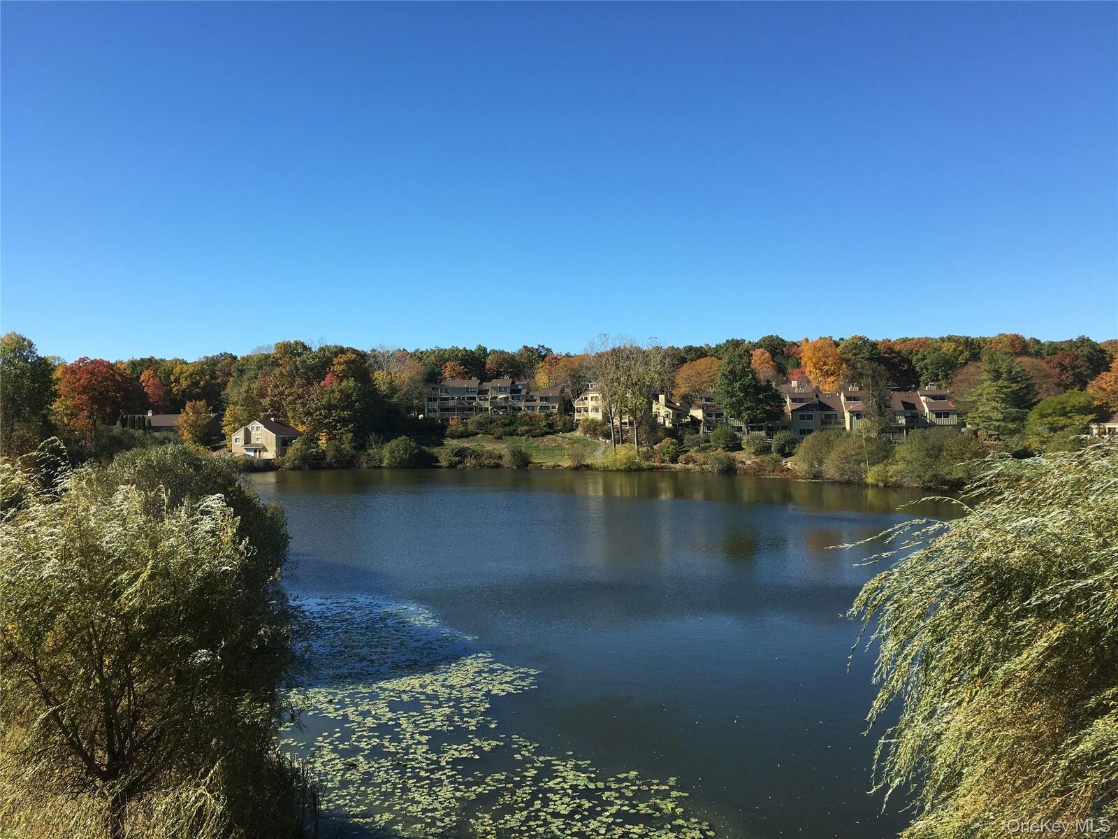 Property Photo:  905 Oakridge Common  NY 10590 