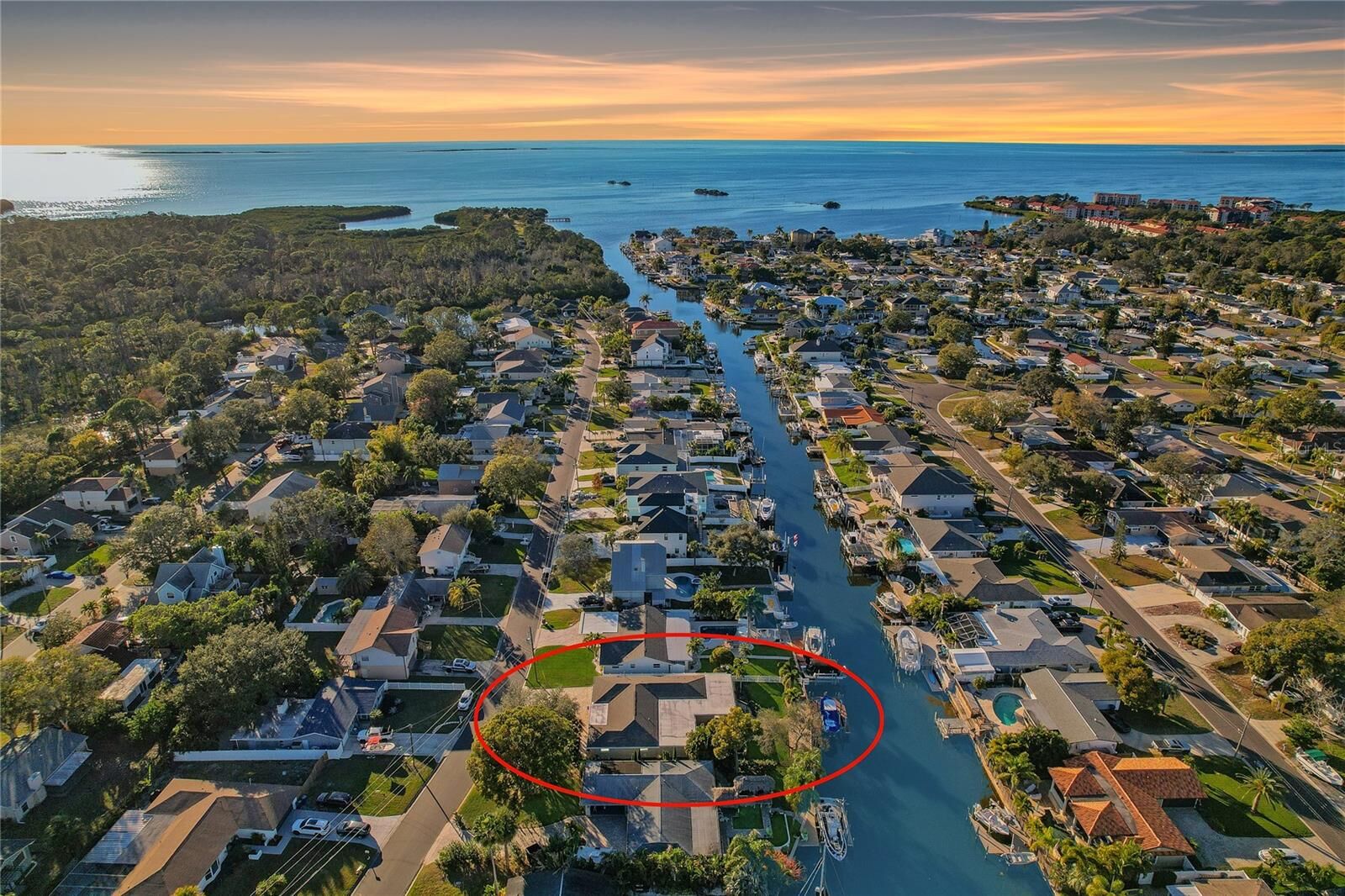 Property Photo: 335 Crosswinds Drive FL 34683
