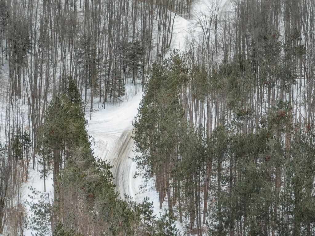 Property Photo:  Wildwood  MI 49770 