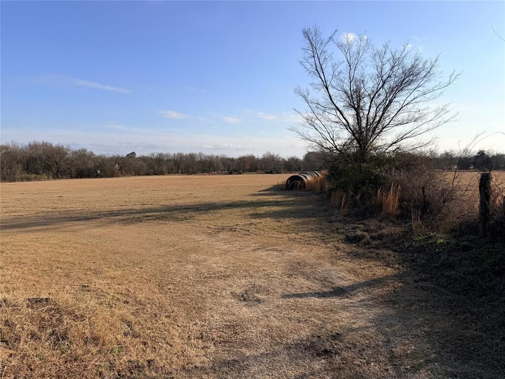 Property Photo: Tbd Fm 1256 TX 75124