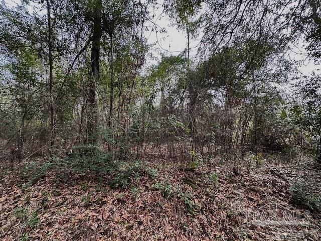 Property Photo:  8 Blackmon St  FL 32535 