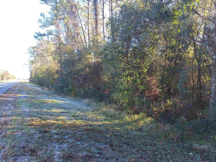 Property Photo: 1075 S State Rd 19 FL 32177