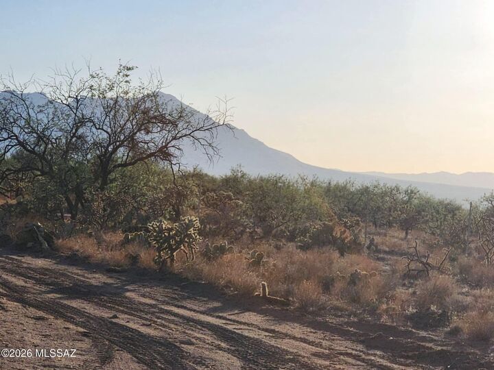 Property Photo:  15035 S Muldoon Avenue 115  AZ 85736 