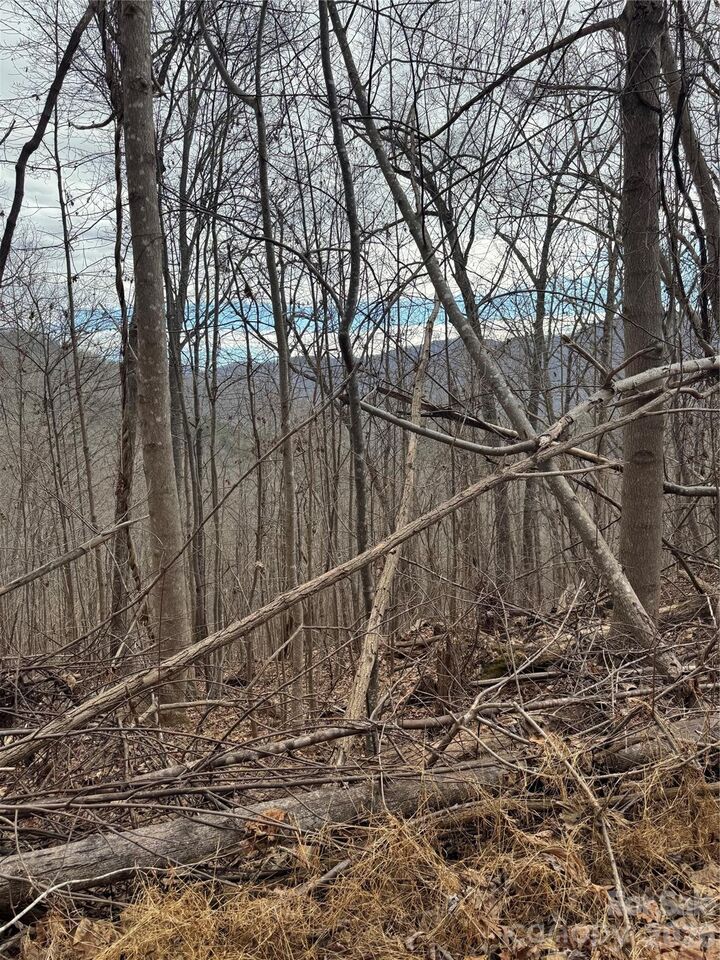 Property Photo:  99999 Penland Road  NC 28904 