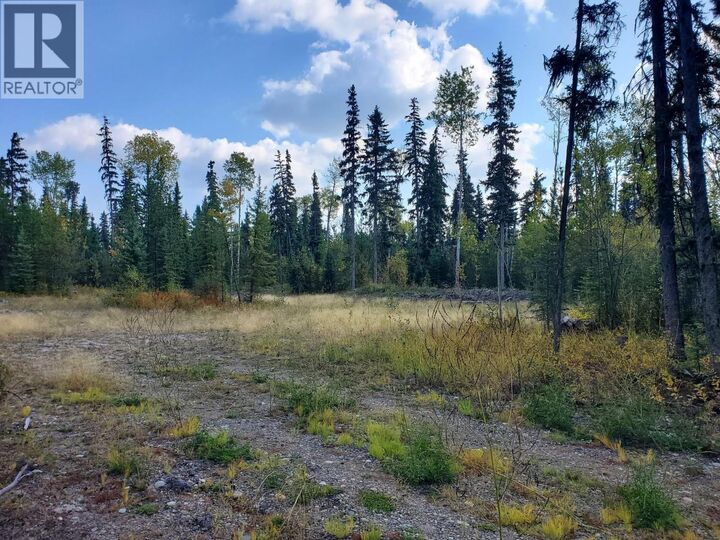 Property Photo:  10000 Hartman Road  BC V2N 6L6 