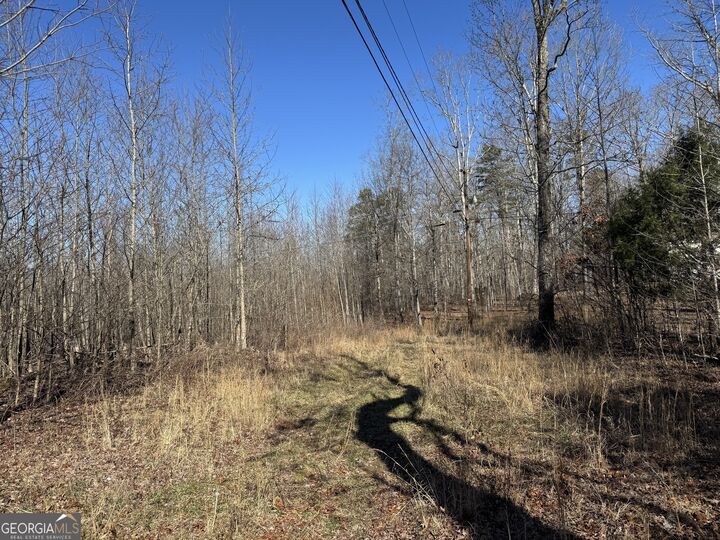 Property Photo:  33 Riverhaven Lane  GA 30731 