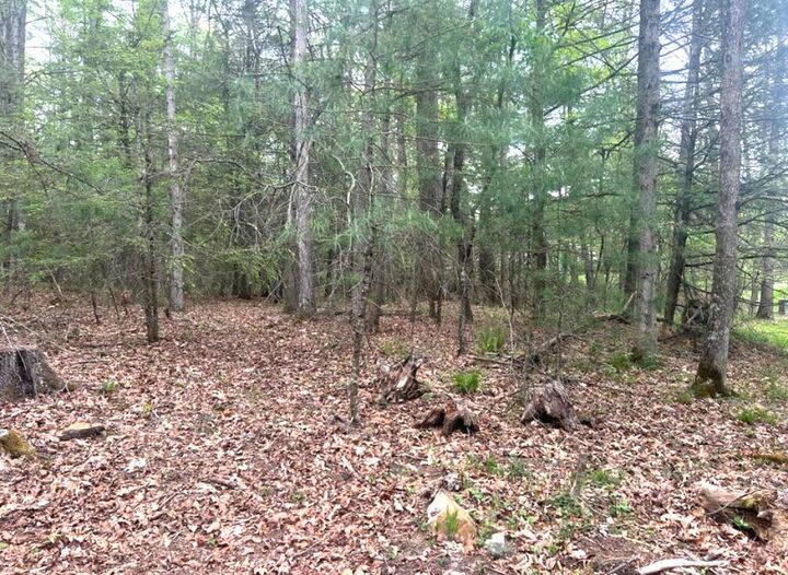 Property Photo:  Lot 3 Asbury Trace  WV 24901 