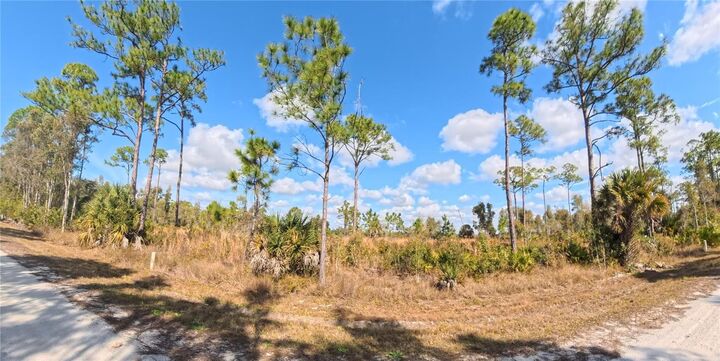 Property Photo:  12196 Caravan Drive  FL 33955 