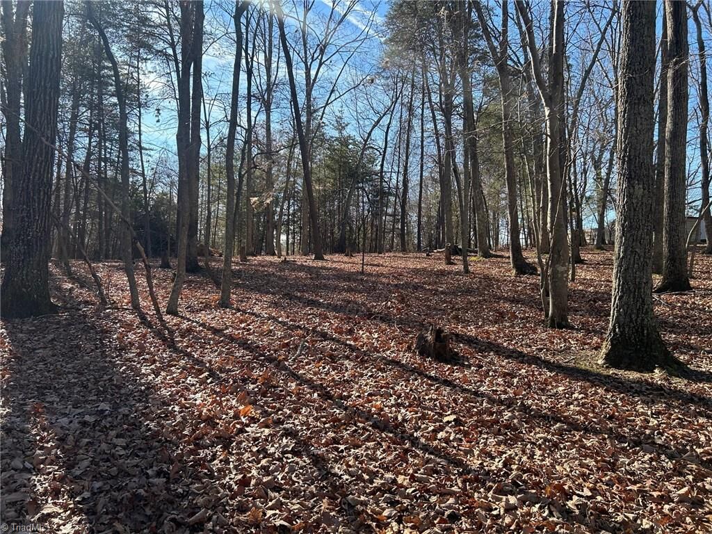 Property Photo:  0000 Price Road  NC 27288 