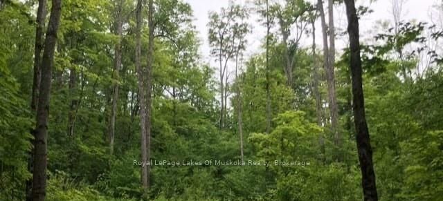 Property Photo:  1154 Delia Road  ON P0B 1L0 