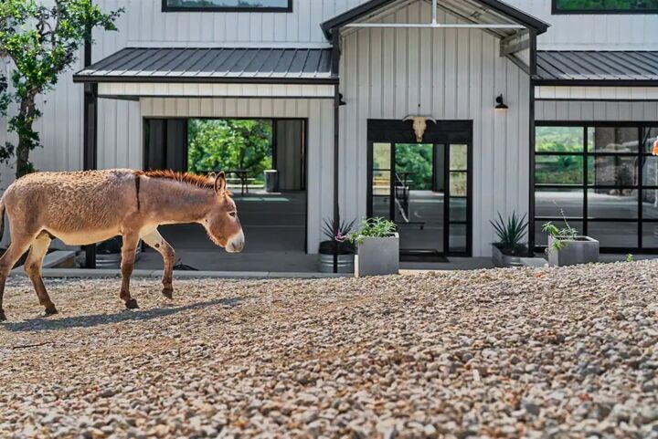 Property Photo:  12701 Trails End Road  TX 78641 