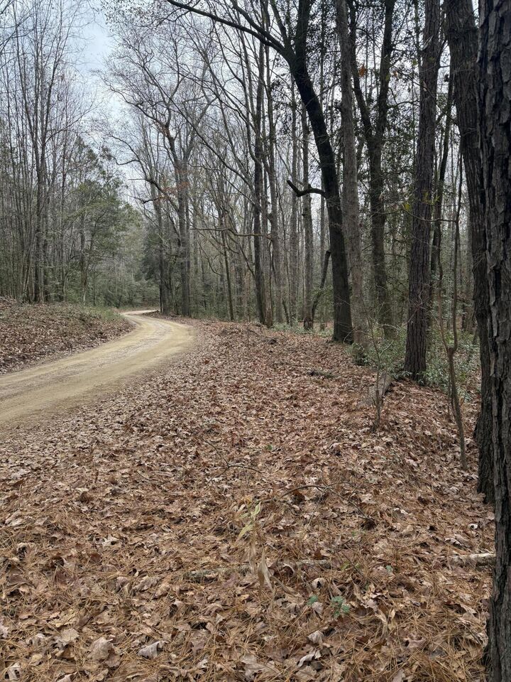 Property Photo:  675 Vaughns Mill Pond Road  SC 29020 