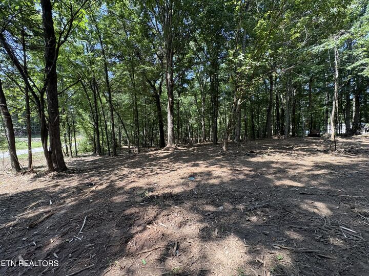 Property Photo:  8188 E Town Creek Rd  TN 37772 