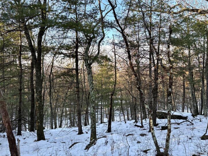 Property Photo:  Route 28A  NY 12443 