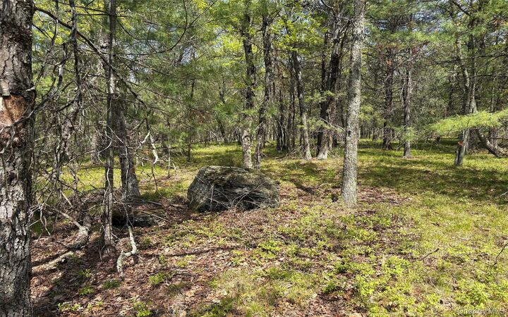 Property Photo: Route 28A NY 12443