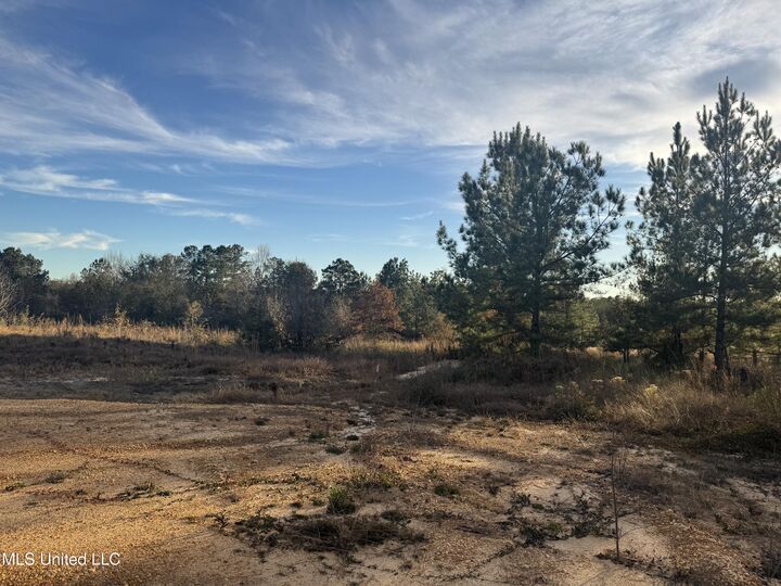 Property Photo:  12 Acres Parker Road  MS 39561 