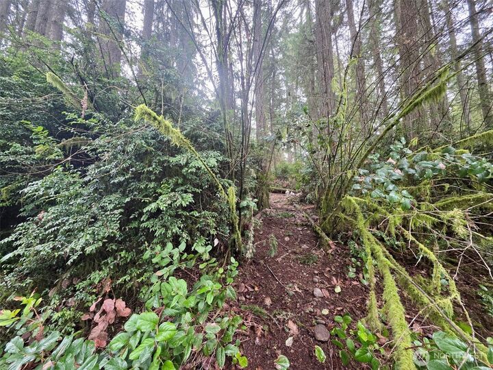 Property Photo:  11312  Yoman Road  WA 98303 