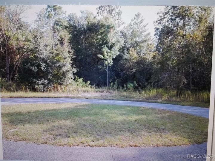 Property Photo:  4401 N Lena Drive  FL 34465 