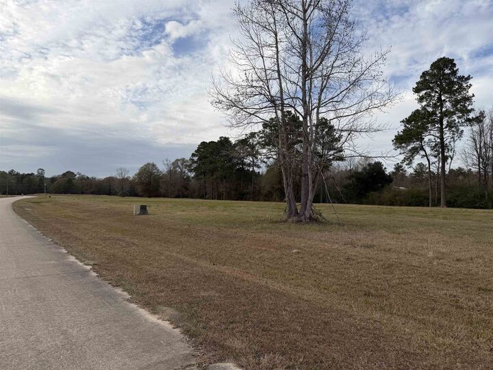 Property Photo:  Lot #17 Northbrook Dr  TX 77662 