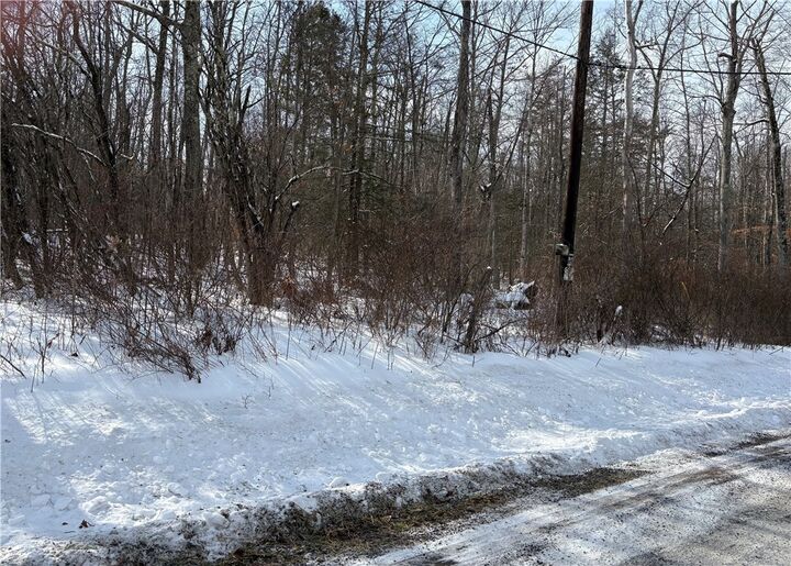 Property Photo:  0 Townsend Road  NY 14891 