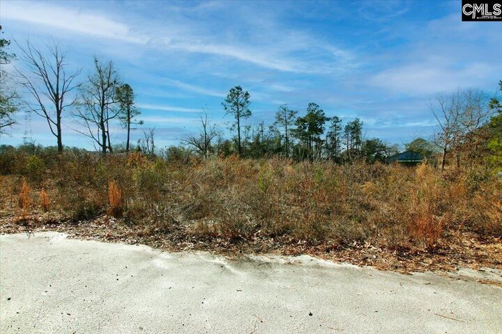 Property Photo:  1107 Kelly  SC 29045 