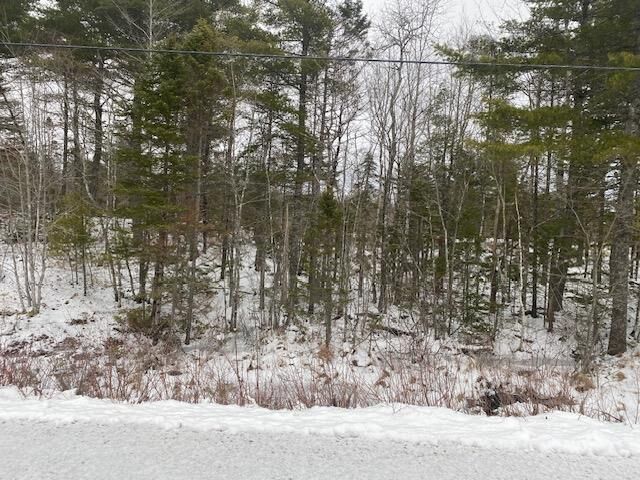 Property Photo:  Lot 1 Newburne Road  NS B0A 2E0 