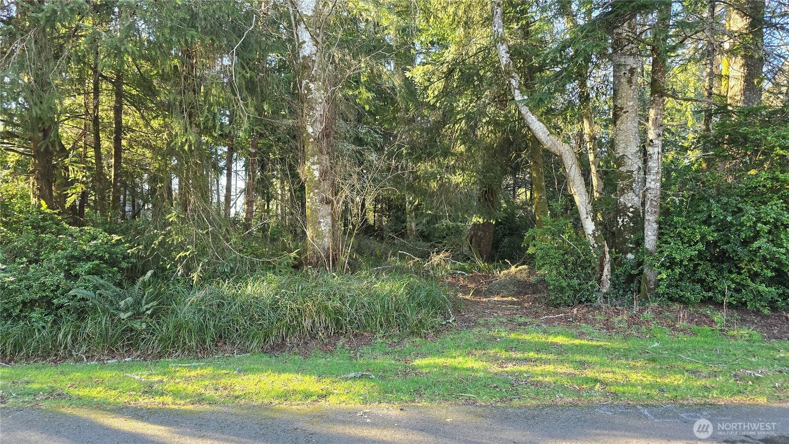 Property Photo:  265  Fisher Avenue NE  WA 98569 